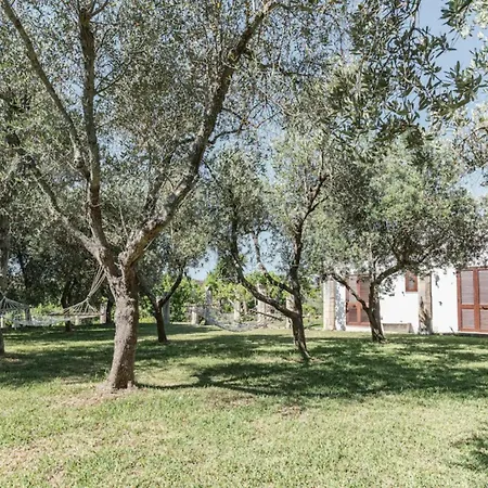Il Giardino Dei Gelsi Villa *